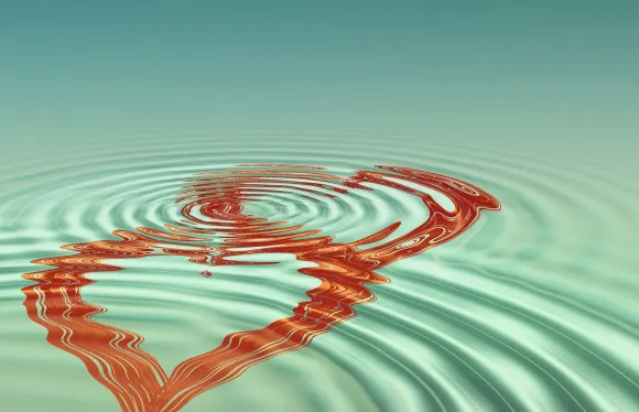 Casigo Spilavíti Stuðningur